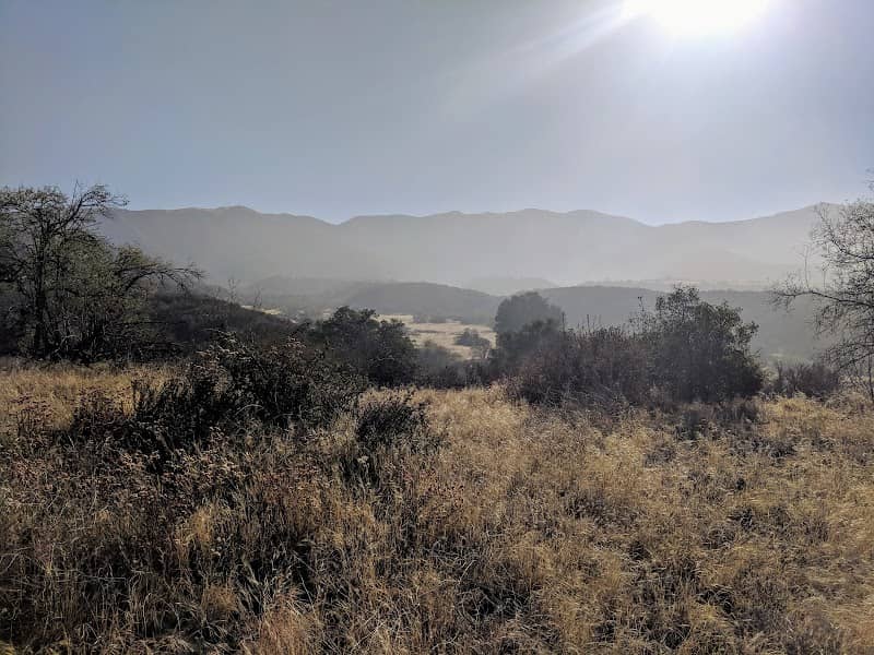 Wildwood Canyon State Park - Image 2
