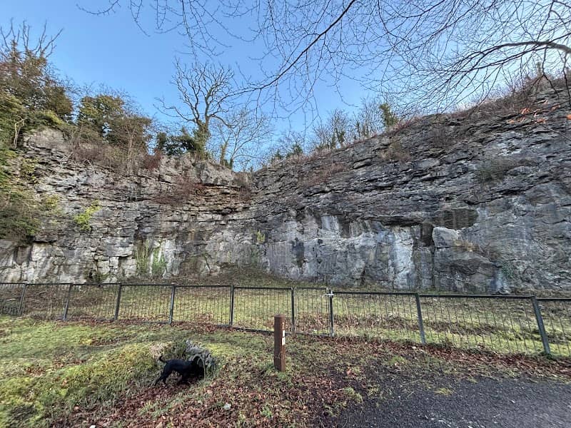 Salthill Quarry Nature Trail Start - Image 1