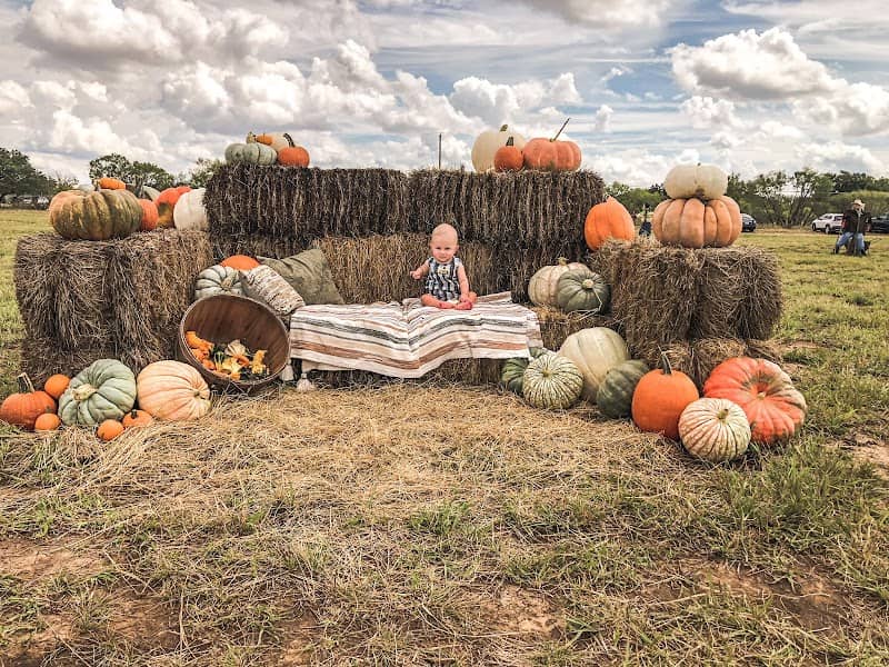 Fair Weather Farm - Image 2