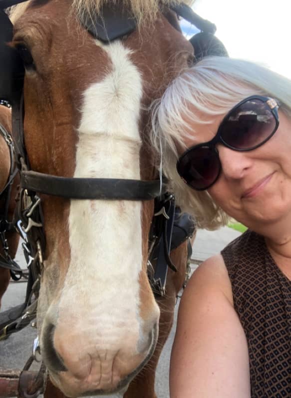 My Amish Indiana - Private Tours - Image 1