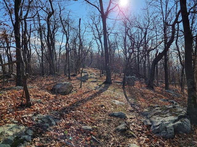 Shannondale Springs Wildlife Management Area East - Image 2