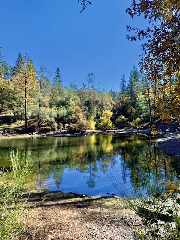 Lumsden Park - Image 3