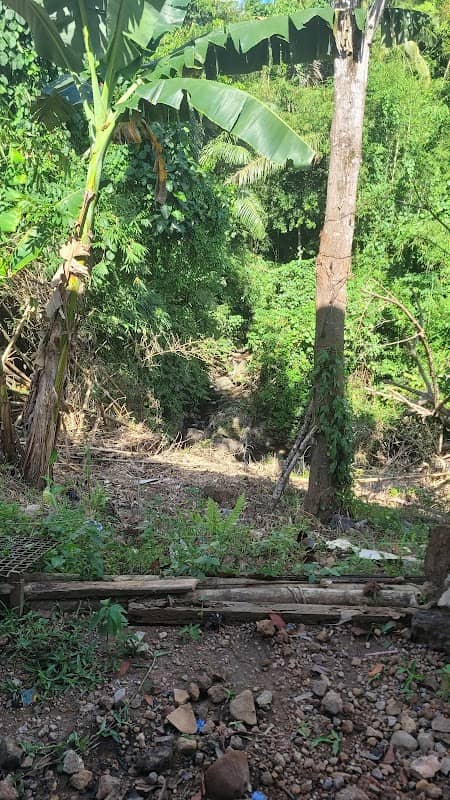 Perkebunan Kel. Mewengkang Liow - Image 1