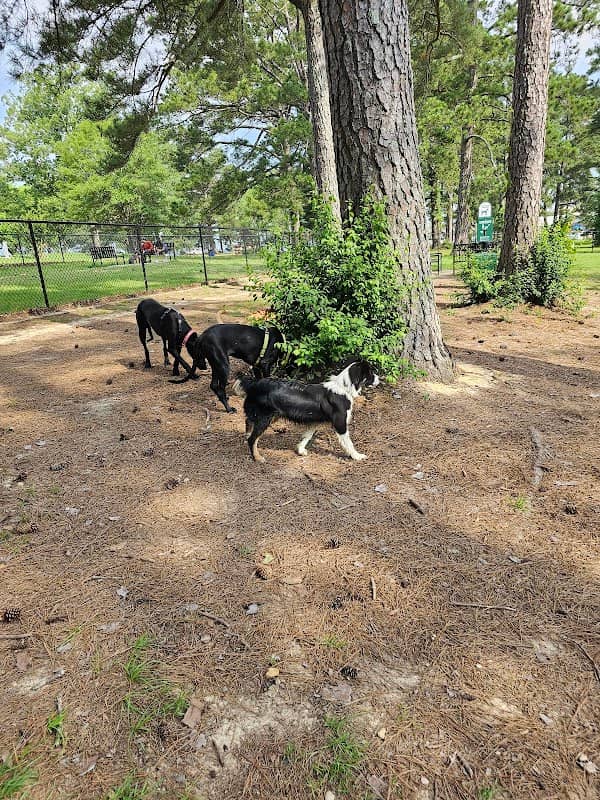Dog Park at Lakeshore Park - Image 2