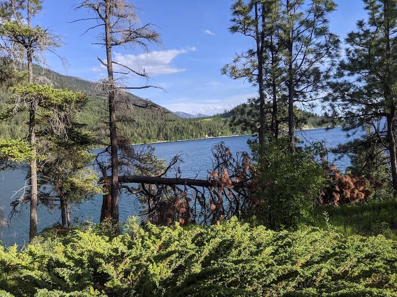 Yellow Bay / Flathead Lake State Park - Image 3