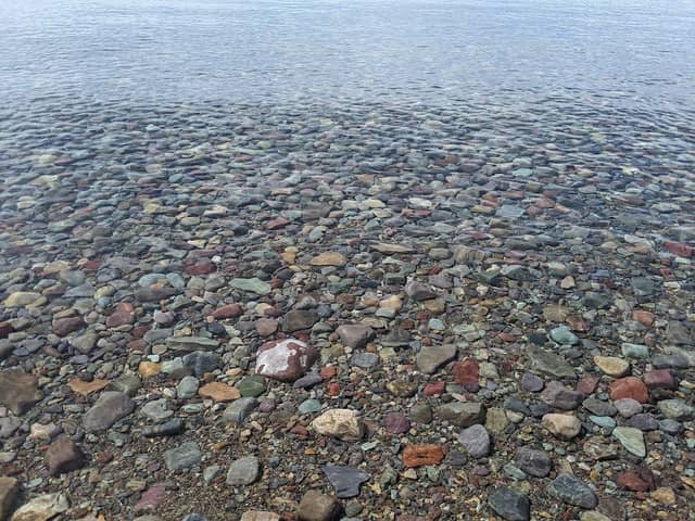Yellow Bay / Flathead Lake State Park - Image 2