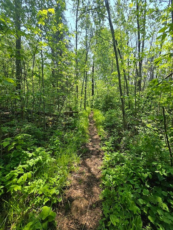 North Country Trail - Brule Bog Boardwalk - Image 2