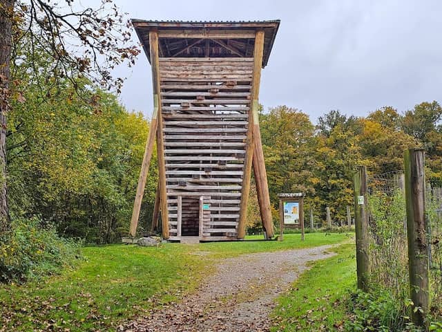 Wisent-Turm im Wisentgehege Hardehausen - Image 1