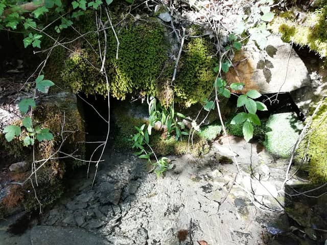 Birkenreuther Brunnen - Image 1