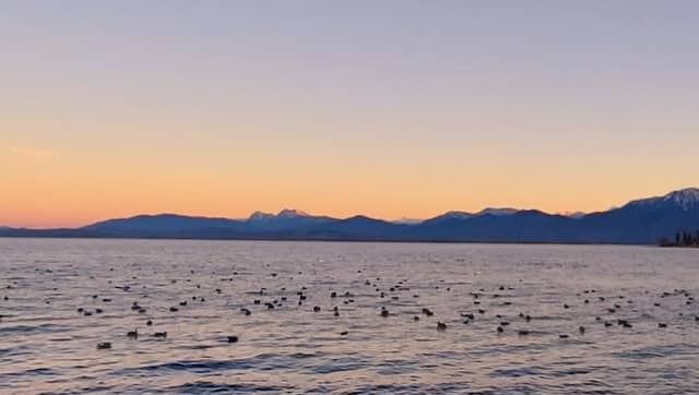 Tiefste Stelle des Chiemsee - Image 1