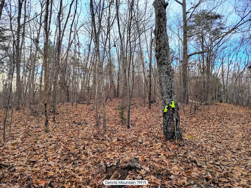 Wood Run Hunt Camp - Image 1