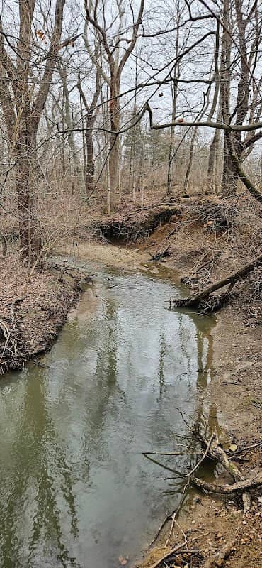 Lytle Creek Nature Preserve - Image 2