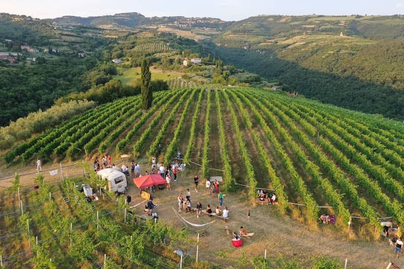 Monte Timarol - Image 1