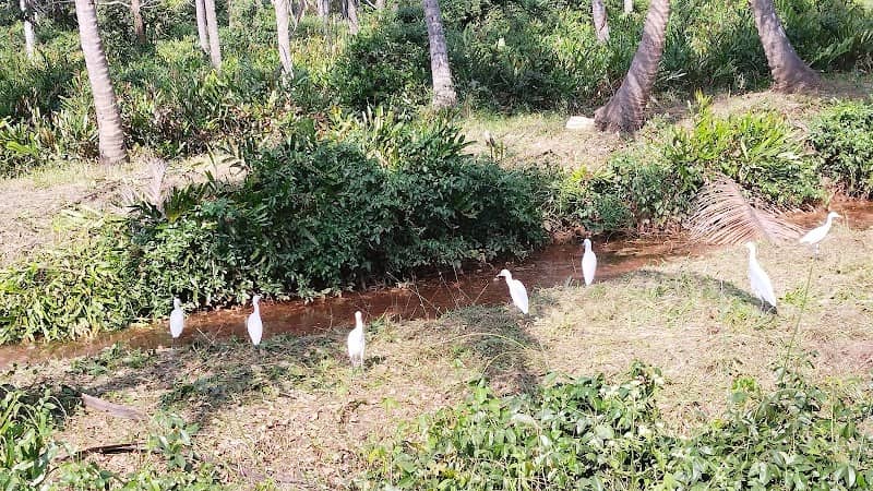 ഇല൮് ഇക്കോ ടൂറിസം - Image 1