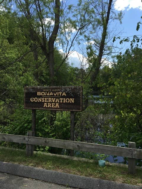 The Anna & Joseph Bonavita Memorial Conservation Area - Image 2
