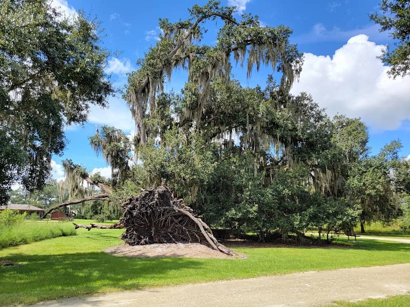 Shingle Creek Regional Park - Image 3