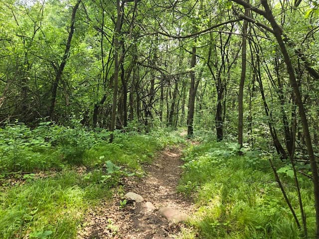 Bailey School Forest Park - Image 1