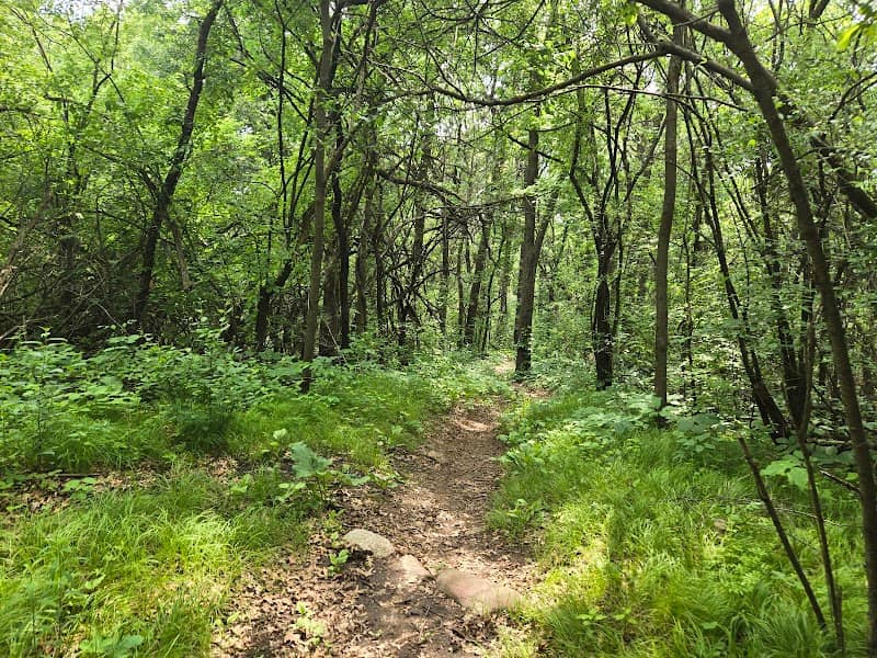 Bailey School Forest Park - Image 1