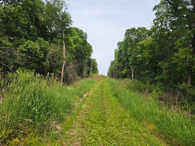 Bailey School Forest Park - Image 2