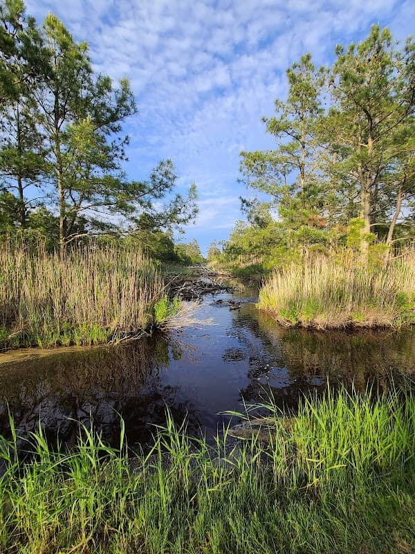 Island Nature Trail - Image 2