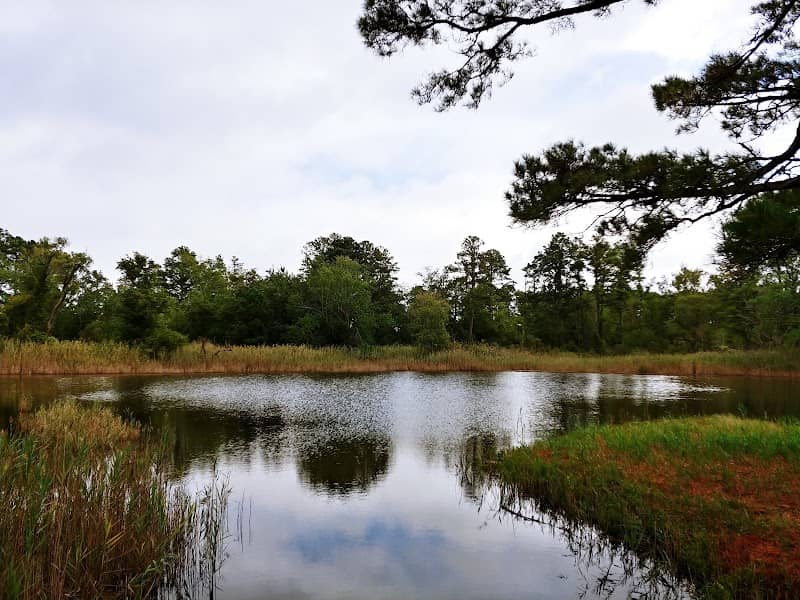Island Nature Trail - Image 1