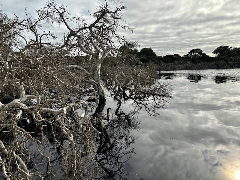 Boodjar Mooliny Reserve - Image 3