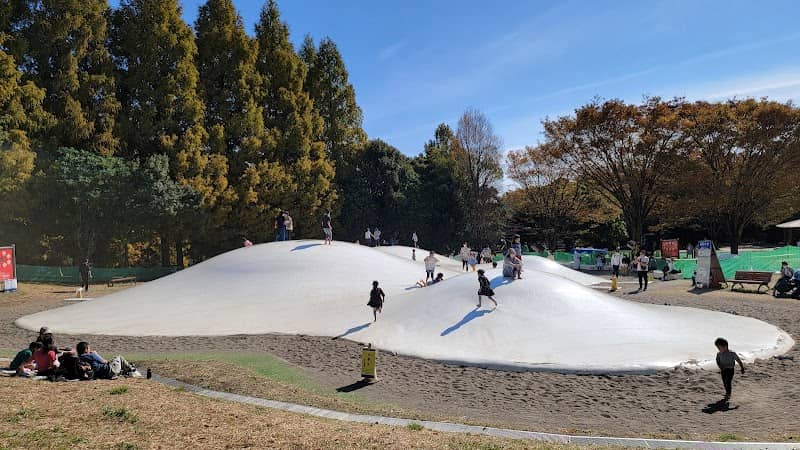 Bouncing Dome - Image 1