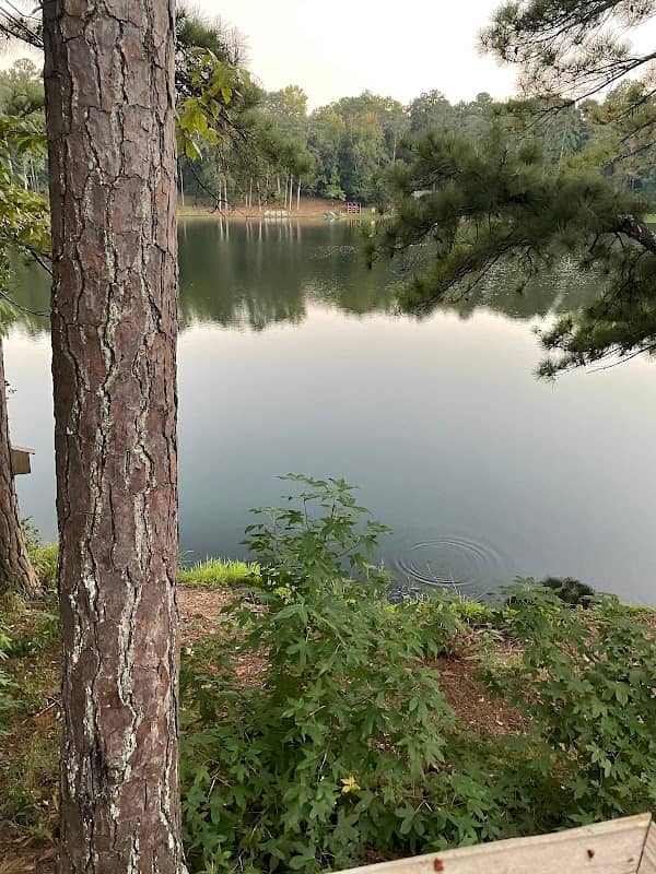 Lake Deleanor - Image 2