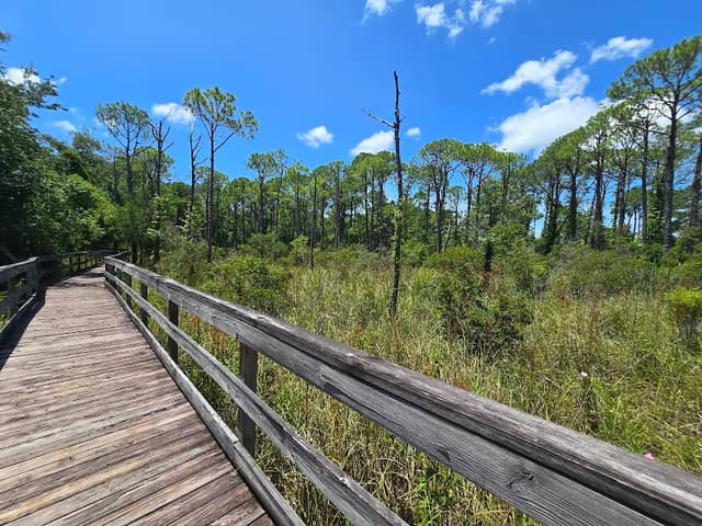 Mattie Kelly Park and Nature Walk - Image 2