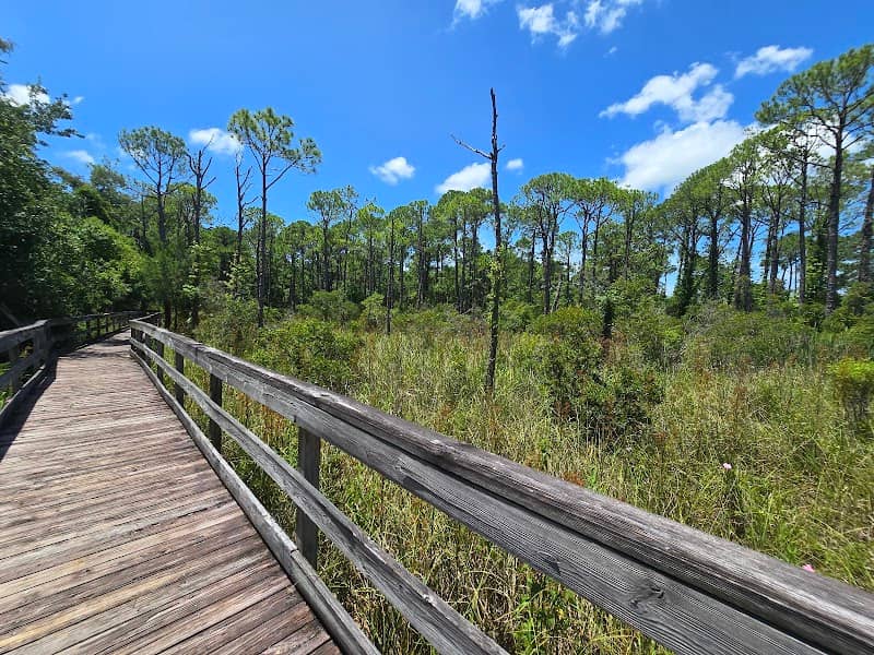 Mattie Kelly Park and Nature Walk - Image 2
