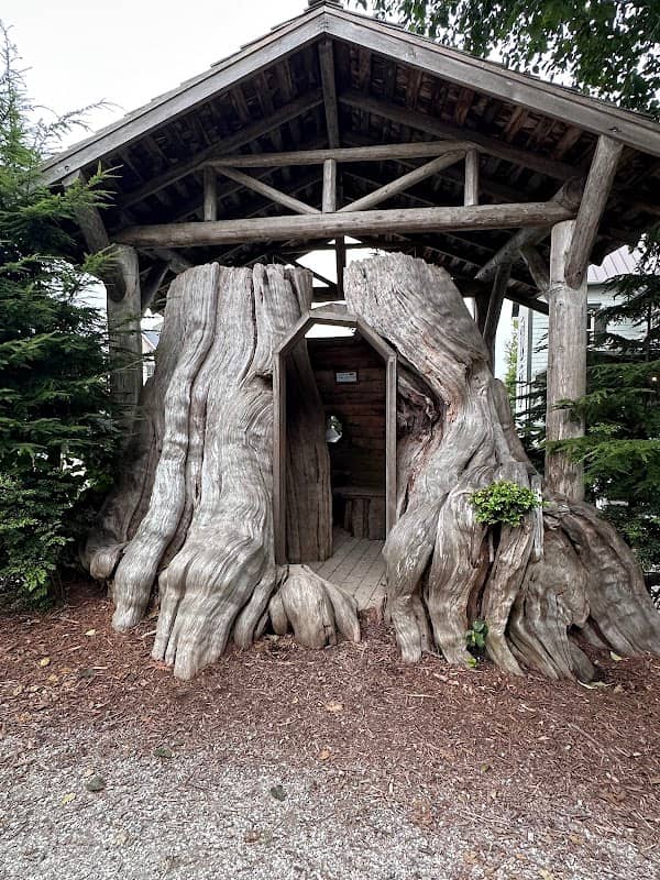 Old Cedar Stump - Image 1
