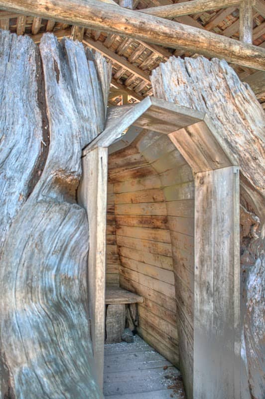 Old Cedar Stump - Image 2
