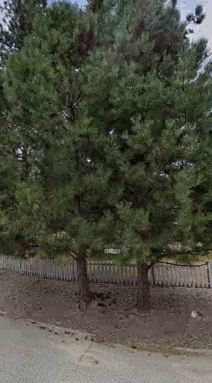Black Canyon Park - Image 3
