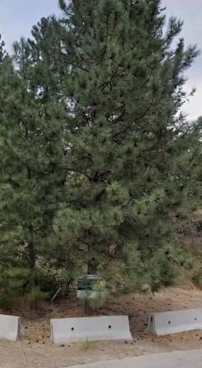 Black Canyon Park - Image 2