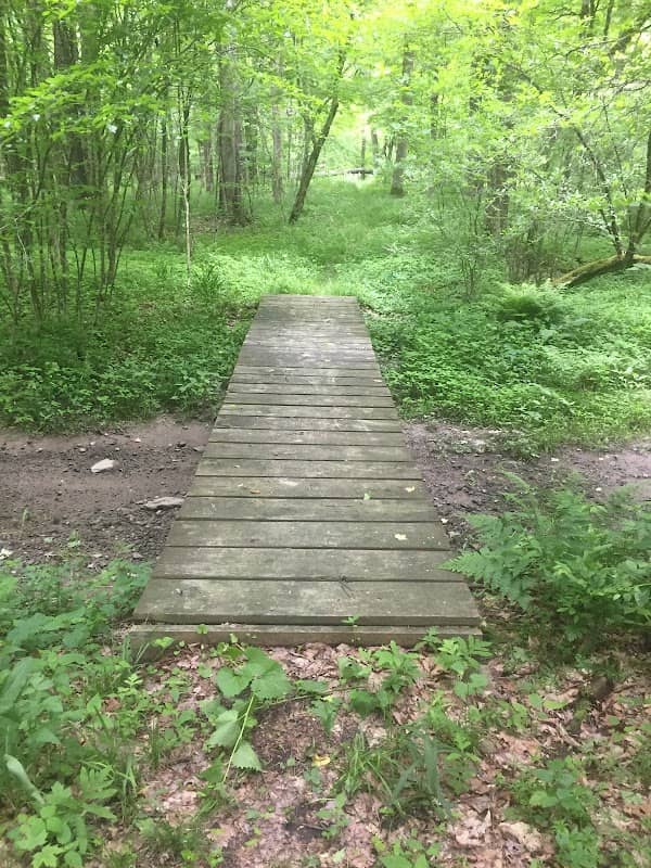 Meads Creek Trailhead - Image 1