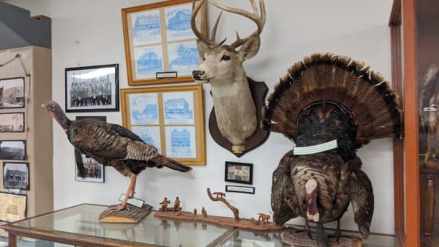 Barry County Museum - Image 1