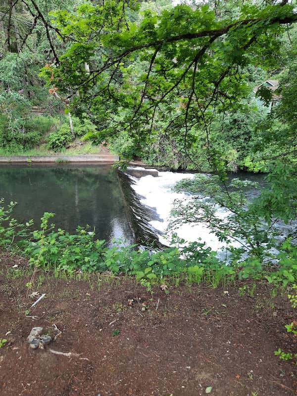 Old Mill Park - Image 1