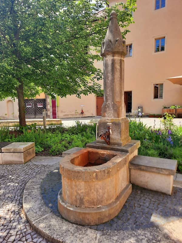Altjungfernröhrwasser im Lutherhof - Image 1