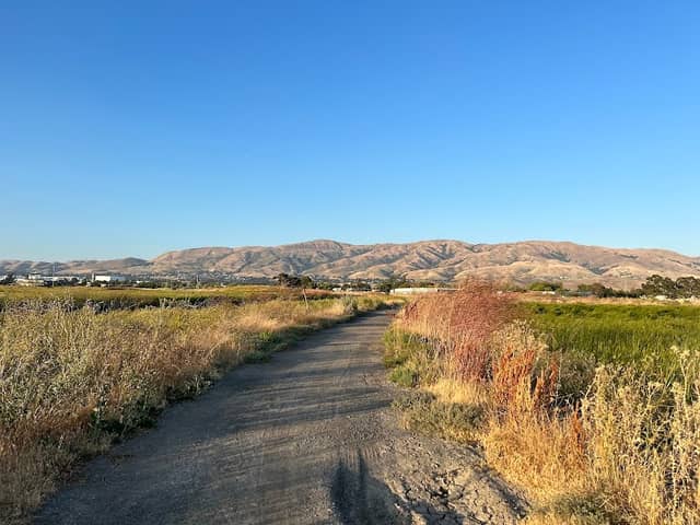 Coyote Lagoon at Don Edwards - Image 3