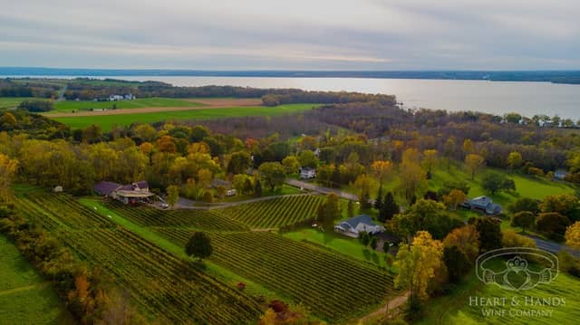 Heart & Hands Wine Company - Image 1