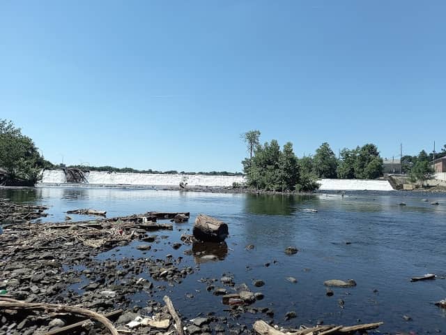 Dundee Island Preserve - Image 5