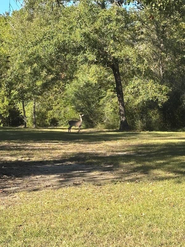 Austin's Colony Park - Image 2