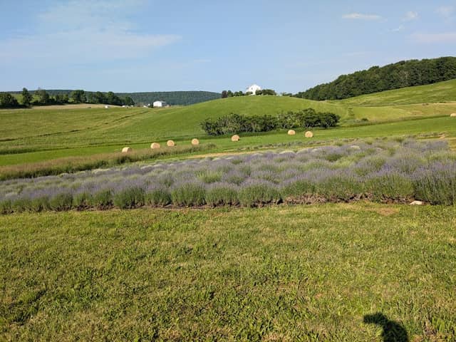 Monfort Gardens - Image 1