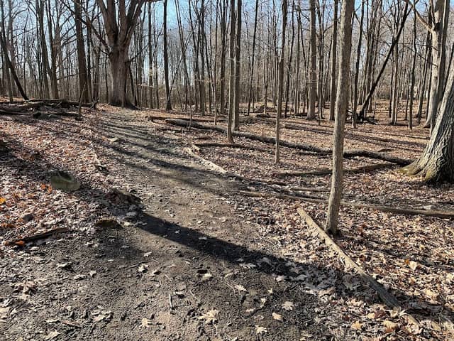 Deer Park Hiking Trails - Image 1