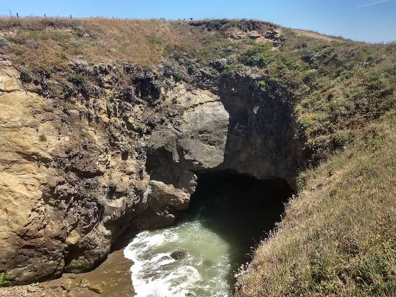 Noyo Headlands Park - Image 3