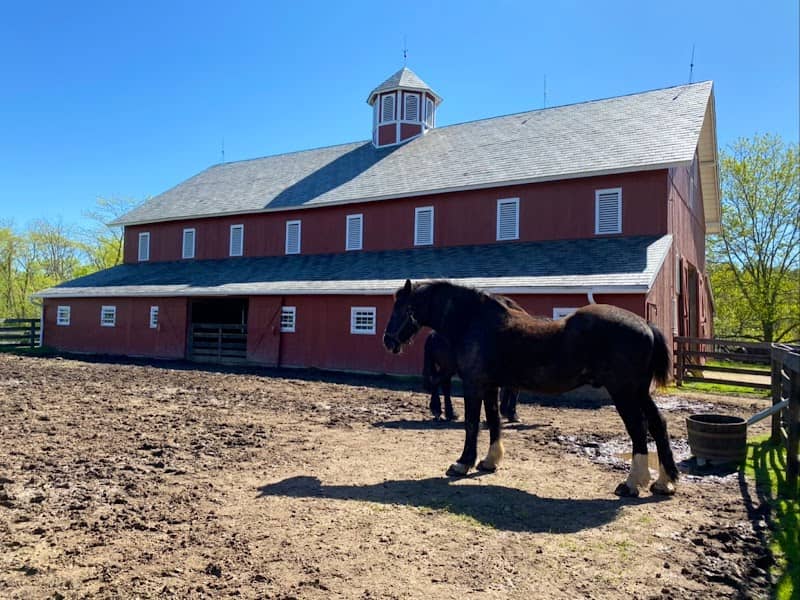 Slate Run Living Historical Farm - Image 2