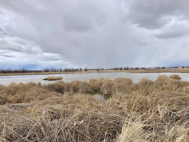 Sterling Wildlife Management Area - Image 1