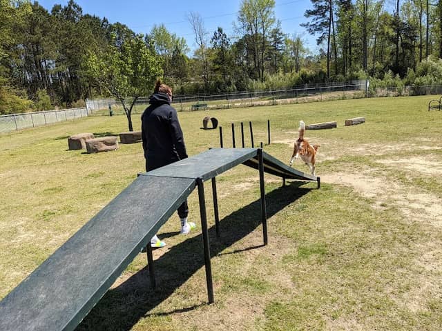 Goodale Dog Park - Image 1
