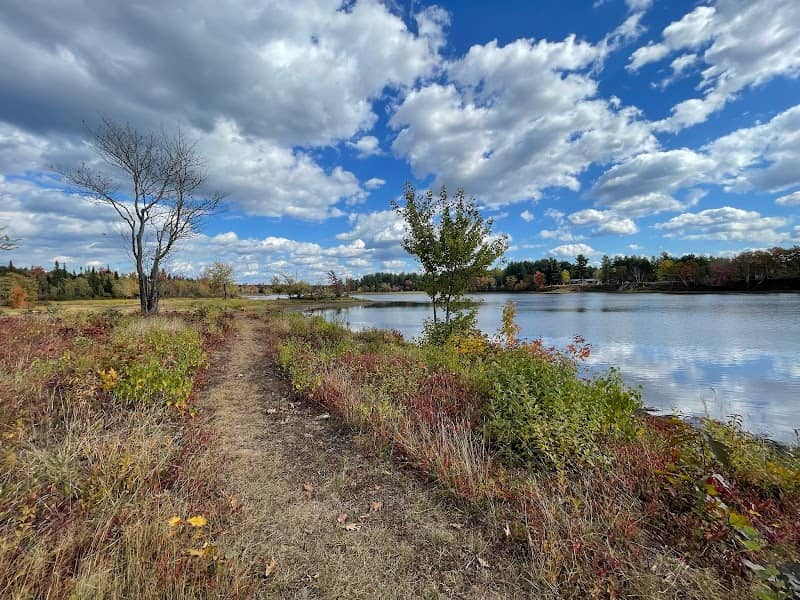 Stewart McLeod Park / Turtle Park - Image 1