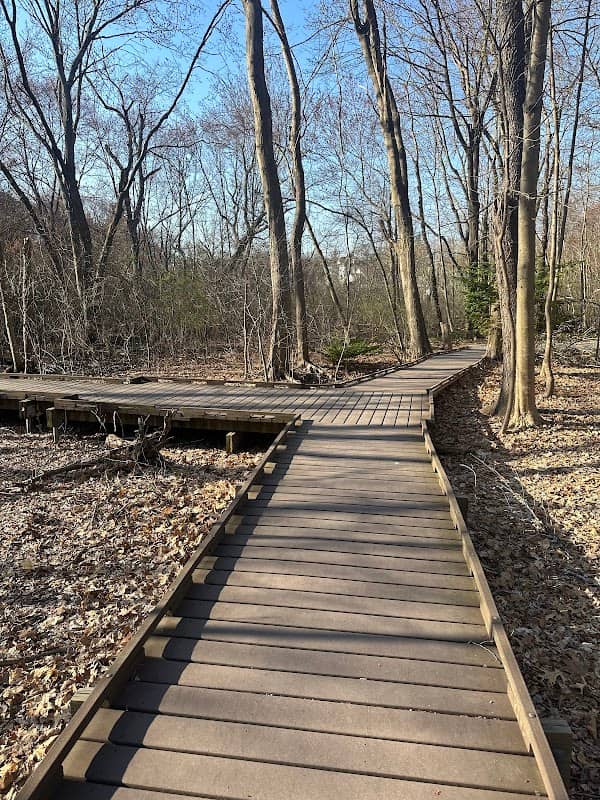 Dolan Pond Conservation Area - Image 2